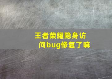 王者荣耀隐身访问bug修复了嘛