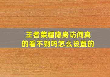 王者荣耀隐身访问真的看不到吗怎么设置的