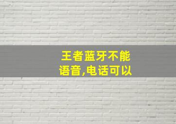 王者蓝牙不能语音,电话可以