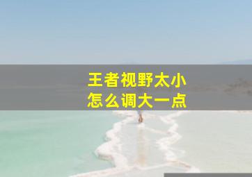 王者视野太小怎么调大一点