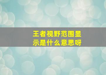 王者视野范围显示是什么意思呀