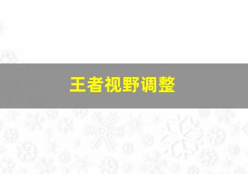 王者视野调整