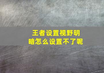 王者设置视野明暗怎么设置不了呢