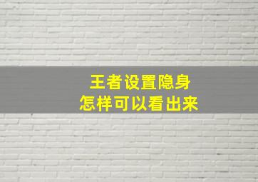 王者设置隐身怎样可以看出来