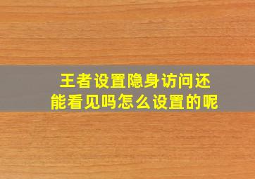 王者设置隐身访问还能看见吗怎么设置的呢