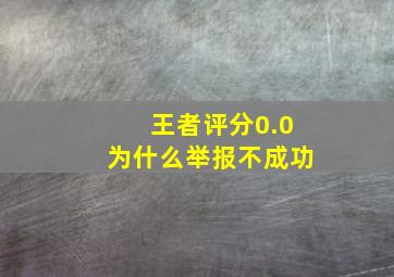 王者评分0.0为什么举报不成功