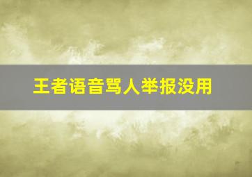 王者语音骂人举报没用