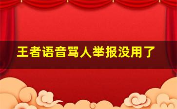 王者语音骂人举报没用了