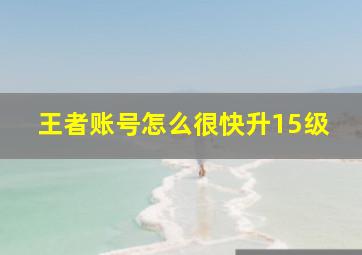 王者账号怎么很快升15级