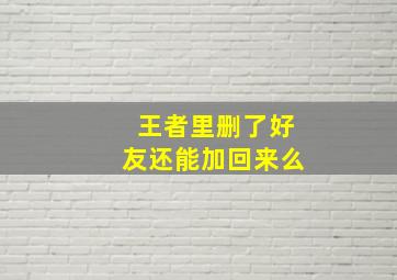 王者里删了好友还能加回来么