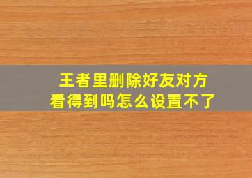 王者里删除好友对方看得到吗怎么设置不了