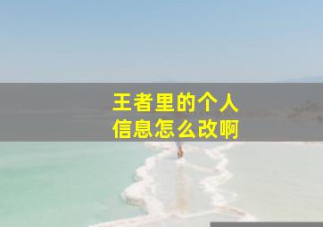 王者里的个人信息怎么改啊