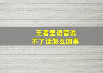 王者里语音说不了话怎么回事