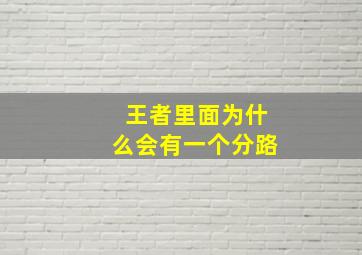 王者里面为什么会有一个分路