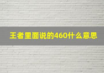 王者里面说的460什么意思