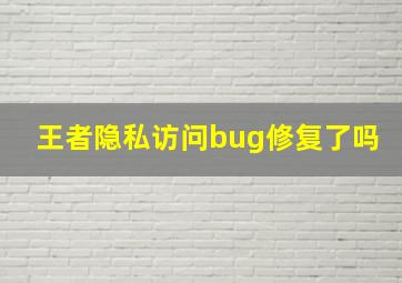 王者隐私访问bug修复了吗