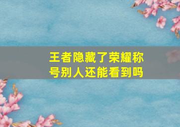 王者隐藏了荣耀称号别人还能看到吗