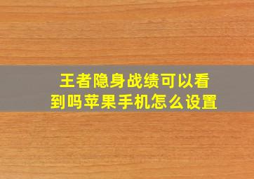 王者隐身战绩可以看到吗苹果手机怎么设置