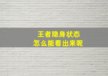 王者隐身状态怎么能看出来呢