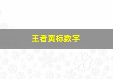 王者黄标数字