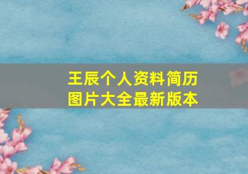 王辰个人资料简历图片大全最新版本