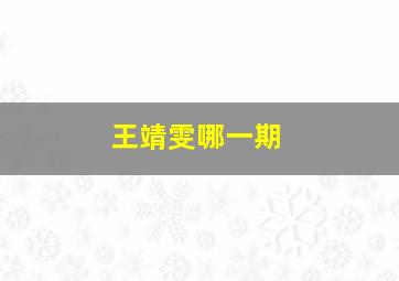 王靖雯哪一期