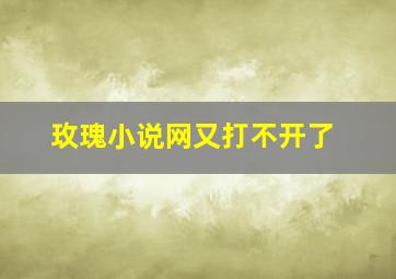 玫瑰小说网又打不开了