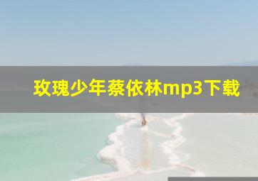 玫瑰少年蔡依林mp3下载