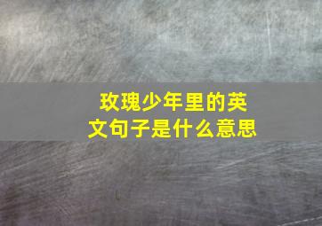 玫瑰少年里的英文句子是什么意思