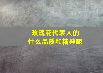 玫瑰花代表人的什么品质和精神呢