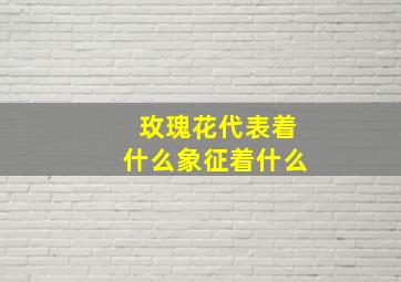 玫瑰花代表着什么象征着什么