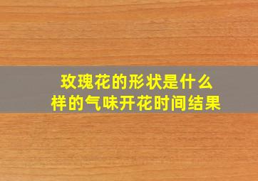 玫瑰花的形状是什么样的气味开花时间结果