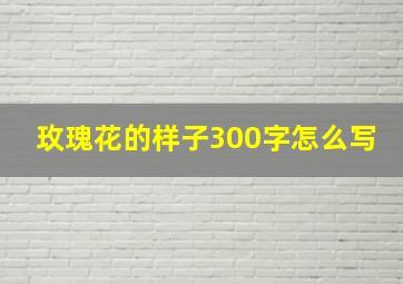 玫瑰花的样子300字怎么写