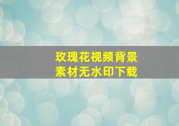 玫瑰花视频背景素材无水印下载