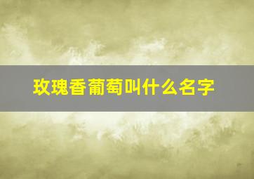 玫瑰香葡萄叫什么名字