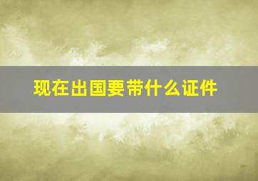 现在出国要带什么证件