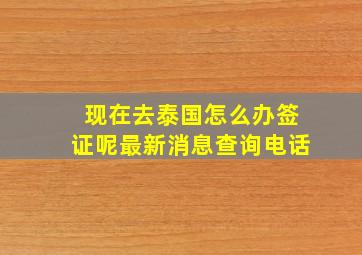 现在去泰国怎么办签证呢最新消息查询电话