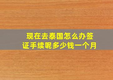 现在去泰国怎么办签证手续呢多少钱一个月