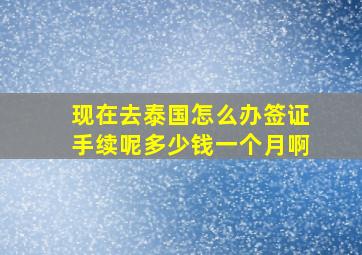 现在去泰国怎么办签证手续呢多少钱一个月啊