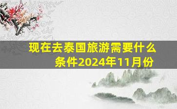 现在去泰国旅游需要什么条件2024年11月份