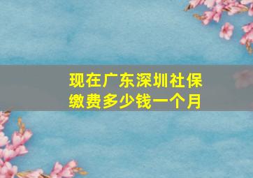 现在广东深圳社保缴费多少钱一个月