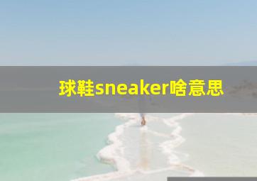 球鞋sneaker啥意思