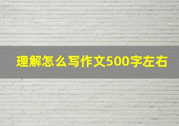 理解怎么写作文500字左右