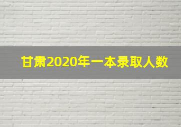 甘肃2020年一本录取人数