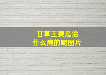 甘草主要是治什么病的呢图片