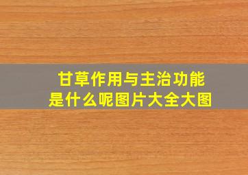 甘草作用与主治功能是什么呢图片大全大图