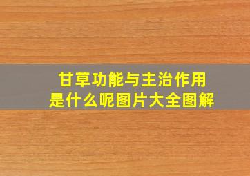 甘草功能与主治作用是什么呢图片大全图解