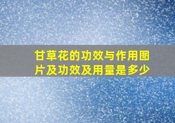 甘草花的功效与作用图片及功效及用量是多少