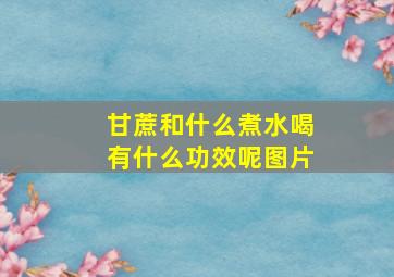 甘蔗和什么煮水喝有什么功效呢图片