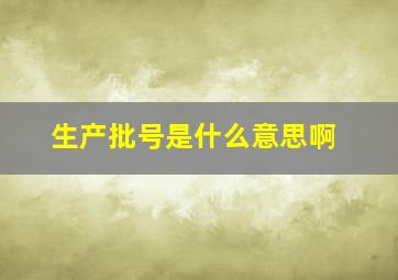 生产批号是什么意思啊